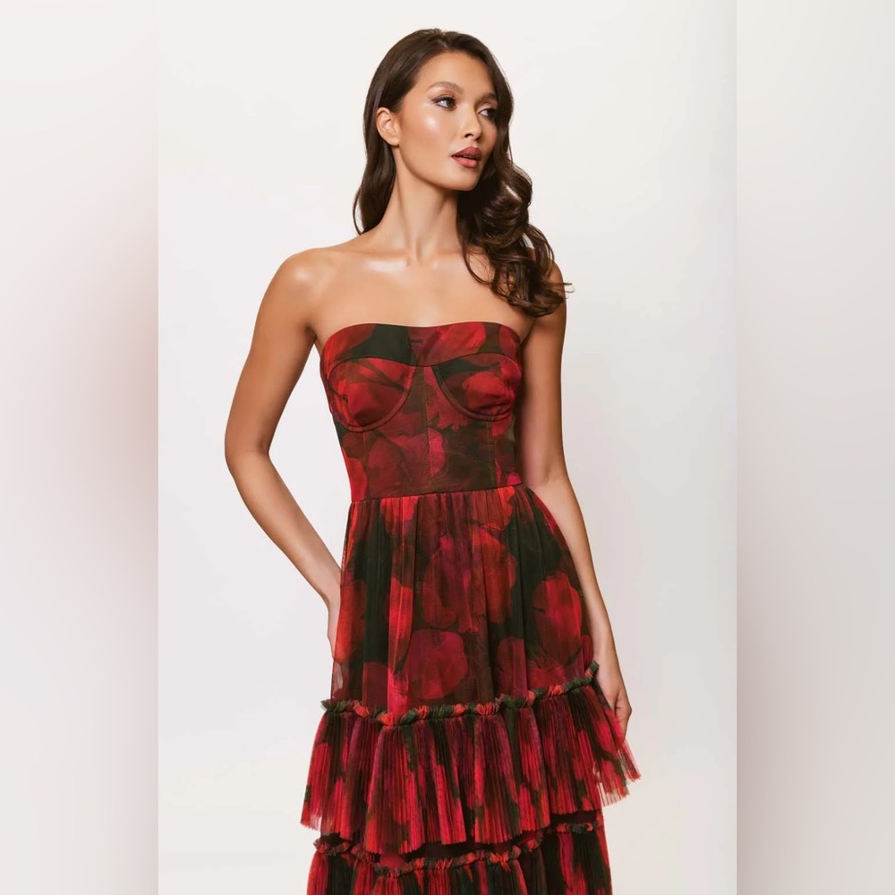 Hutch Isabella Strapless Tiered Tulle Maxi Dress - Picture 3 of 10